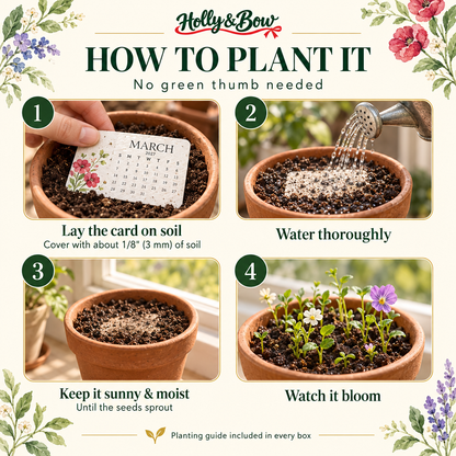 Holly & Bow Plantable Calendar